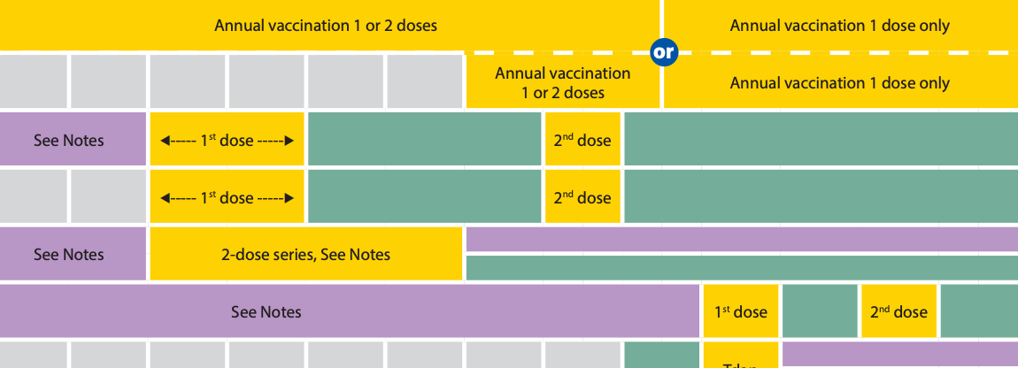 An excerpt of a chart by the CDC showing recommended vaccine schedules. It's broken down into blocks to show the different ages when each dose of each vaccine is given.